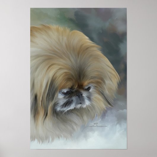 Poster Pekingese pensif (Devant)