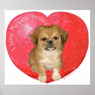 Poster Pekingese / Shih Tzu Saint-Valentin