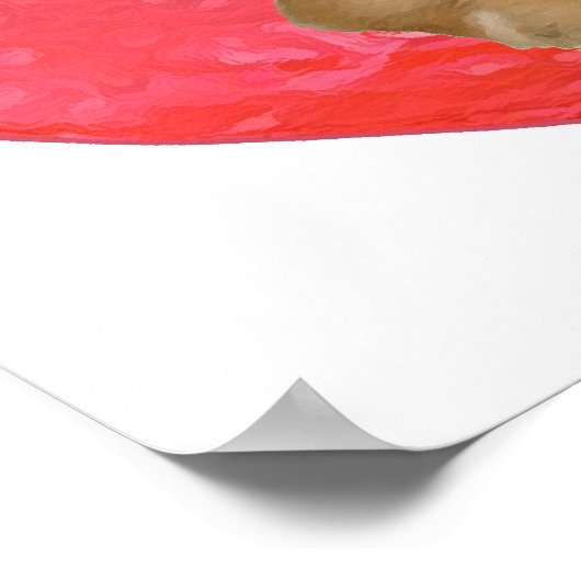 Poster Pekingese / Shih Tzu Saint-Valentin (Coin)