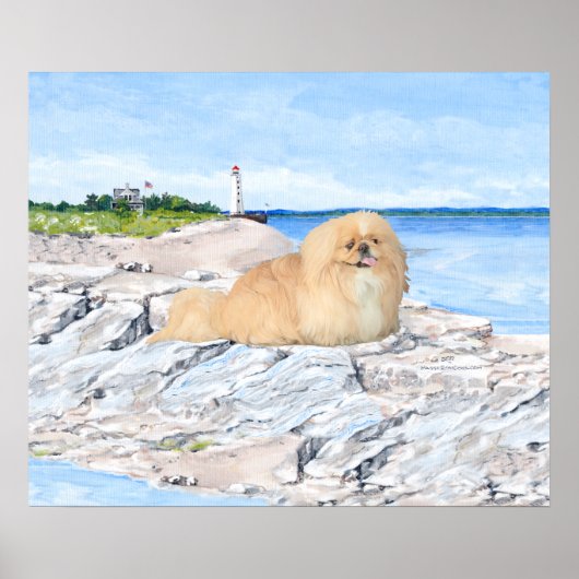 Poster Pékinois au phare (Devant)
