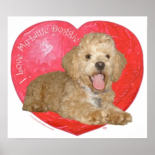 Poster Pékinois / Croisement Caniche Saint-Valentin (Devant)