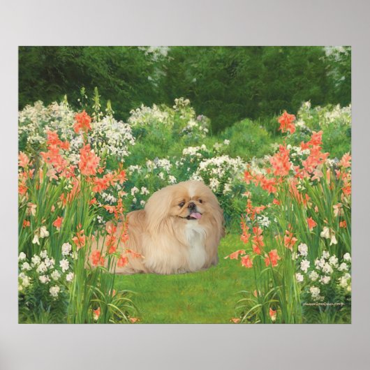 Poster Pékinois dans un jardin (Devant)