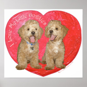 Poster Pékinois / mélange de Caniche Saint-Valentin