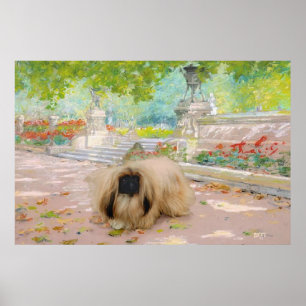 Poster Pékinois miel dans un cadre floral