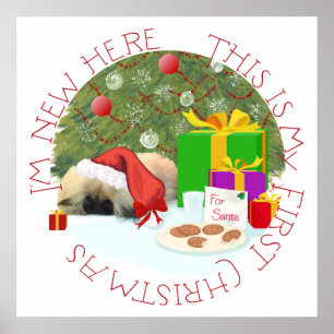 Poster Pékinois pour son 1er Noël