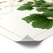 Poster Pelargonium par Tanigami Konan (Coin)