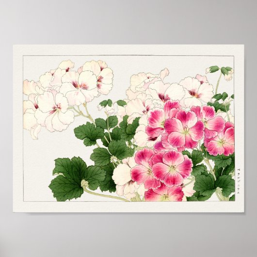 Poster Pelargonium par Tanigami Konan (Devant)