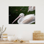 Poster Pélican (Cuisine)