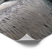 Poster Pélican (Coin)