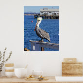 Poster Pélican (Cuisine)