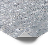 Poster Pélican (Coin)