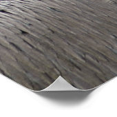 Poster Pélican (Coin)