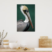 Poster Pélican (Cuisine)