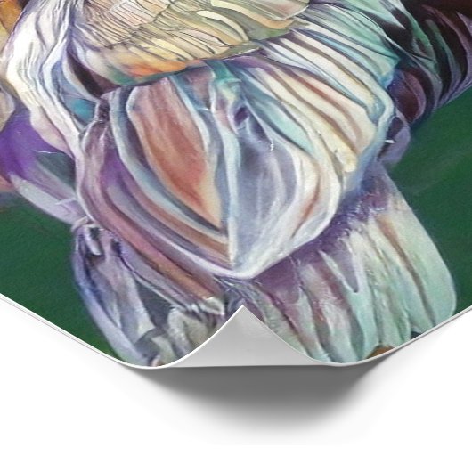 POSTER PELICAN ART-01 (Coin)