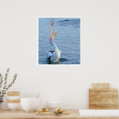 Poster Pélican attraper un poisson (Cuisine)