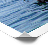 Poster Pélican attraper un poisson (Coin)