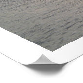 Poster Pélican au milieu (Coin)