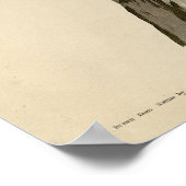 Poster Pélican Brown d'Audubon's Birds of America (Coin)