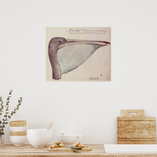 Poster Pelican, c.1590 (Cuisine)