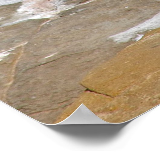 Poster Pélican Dans L'Océan (Coin)