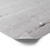 Poster Pélican debout sur le poteau sur Sandy Beach (Coin)