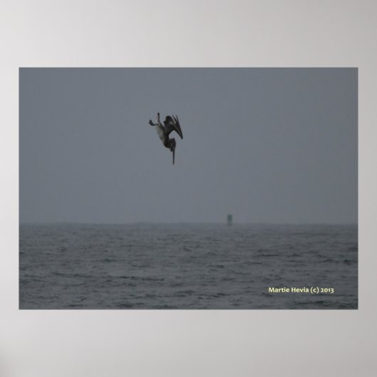 Poster Pelican Dives (Devant)