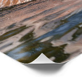 Poster Pélican en mouvement (Coin)