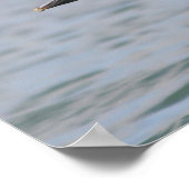 Poster Pélican en vol (Coin)