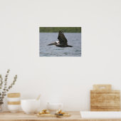 Poster Pélican en vol (Cuisine)