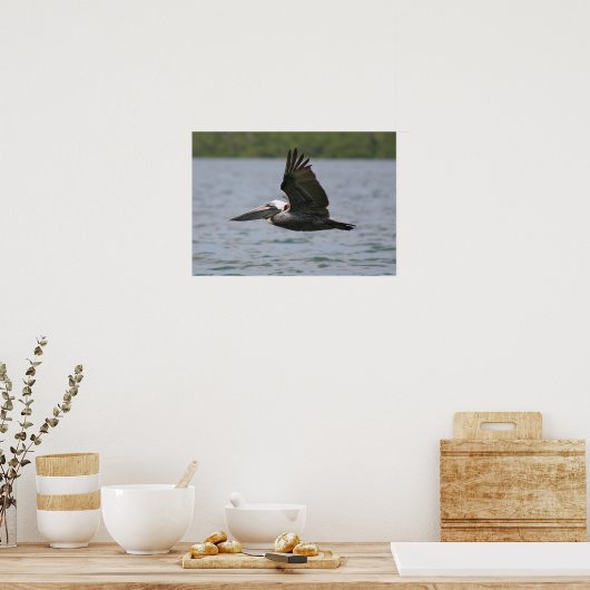 Poster Pélican en vol (Cuisine)