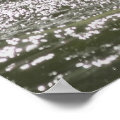 Poster Pélican étonnant dans l'eau (Coin)