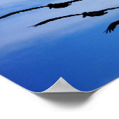 Poster Pélican, grappe IV (Coin)