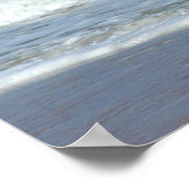 Poster Pelican in flight (Coin)