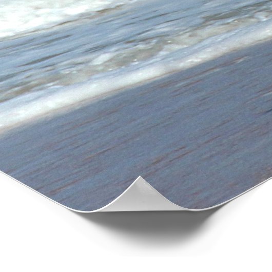 Poster Pelican in flight (Coin)