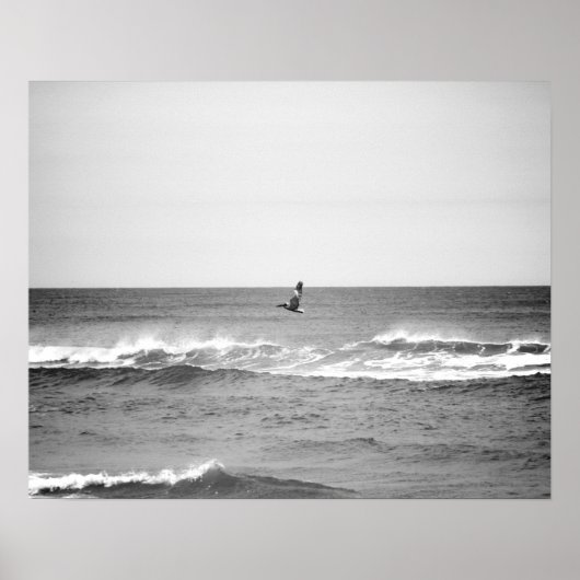 Poster Pélican noir et blanc survolant l'océan 16x20 (Devant)
