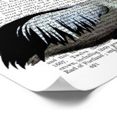 Poster Pelican & Papillons (Coin)