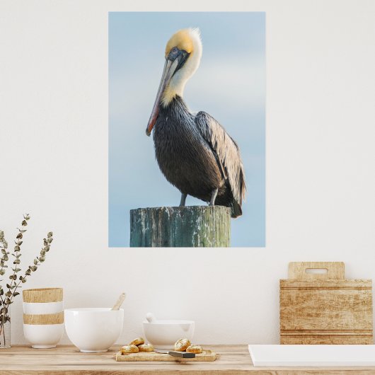 Poster Pelican perché sur le pylône (Cuisine)