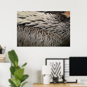 Poster Pélican Plumes Photographie Abstraite de la nature (Bureau à domicile)
