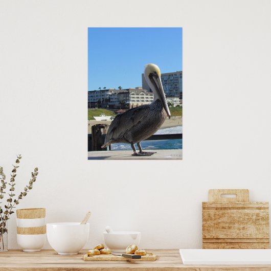 Poster - Pélican simple sur la jetée (Cuisine)