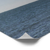 Poster Pelican Turning to Dive (Coin)