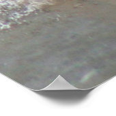 Poster Pelican Wings (Coin)