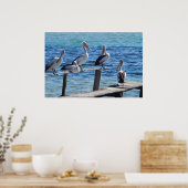 Poster Pélicans (Cuisine)