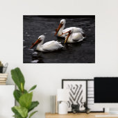 Poster Pélicans à Whitemouth River (Manitoba) (Bureau à domicile)