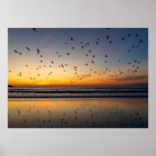 Poster Pélicans au coucher du soleil - Venice Beach, CA (Devant)
