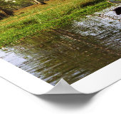 Poster Pélicans australiens, Parc national de Kakadu, NT (Coin)