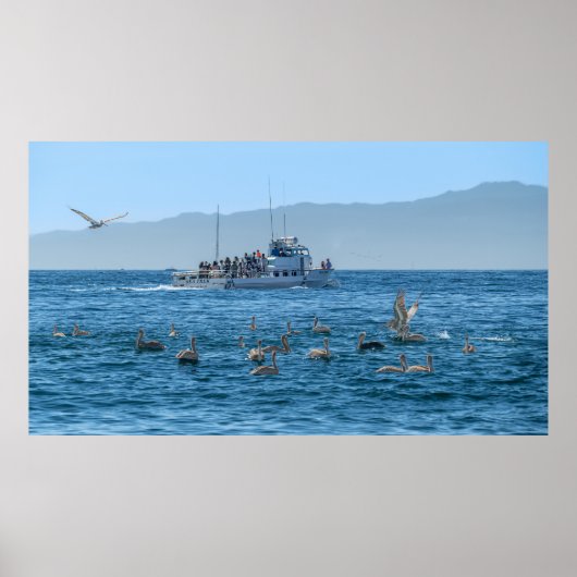 Poster Pélicans Basking & Bateau - Marina Del Rey, CA (Devant)