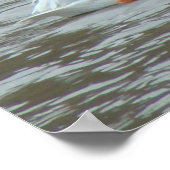Poster Pélicans blancs B16 sur une rivière boueuse (Coin)