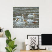 Poster Pélicans blancs B16 sur une rivière boueuse (Bureau à domicile)