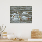 Poster Pélicans blancs B16 sur une rivière boueuse (Cuisine)