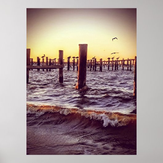 Poster Pélicans dans la baie (Devant)